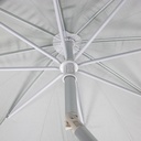 08042665_1.jpg