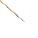 12012655_1.jpg