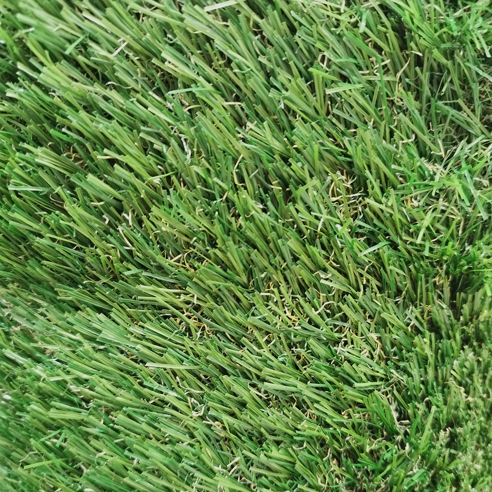 08092121_2.jpg