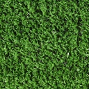 08092129_2.jpg