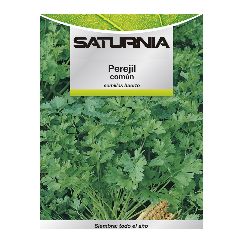 [8093644] Semillas Perejil Comun (8 gramos) Semillas Verduras, Horticultura, Horticola, Semillas Huerto.