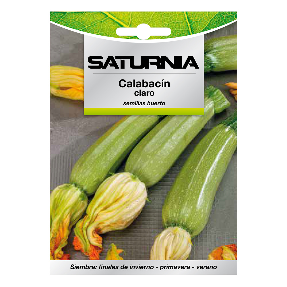[8093649] Semillas Calabacin Verde Oscuro (5 gramos) Semillas Verduras, Horticultura, Horticola, Semillas Huerto.