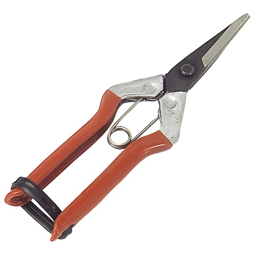 [8250125] Tijeras Recolectar Uvas  1 Mano  P 1552   180 mm.