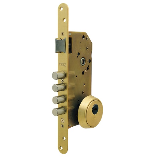 [3010260] Cerradura Tesa Segurida R200B/T6/6L