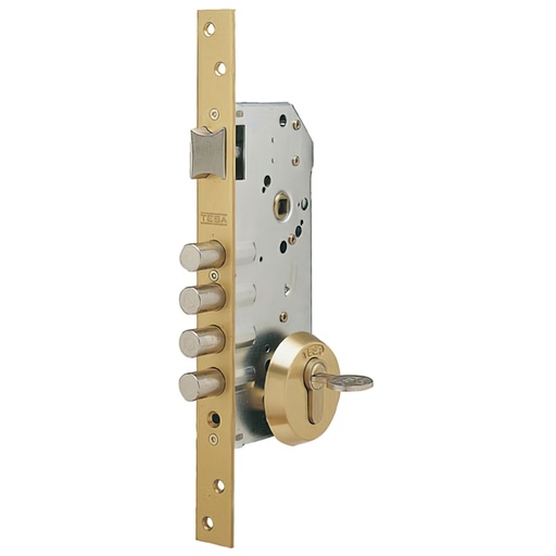 [3010258] Cerradura Tesa Seguridad R100B566 Esmaltada