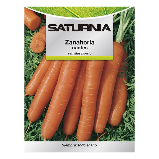 [8093630] Semillas Zanahoria Nantes Temprana (7 Gramos). Semillas Verduras, Horticultura, Horticola, Semillas Huerto.
