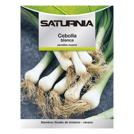 [8093633] Semillas Cebolla Blanca (4 gramos) Semillas Verduras, Horticultura, Horticola, Semillas Huerto.