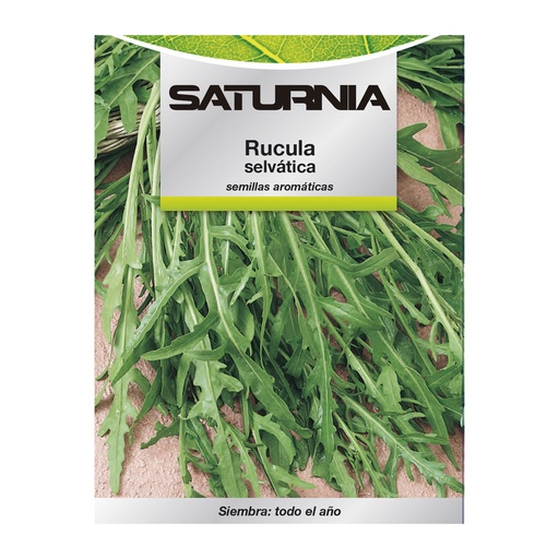 [8093726] Semillas Aromaticas Rucula Selvatica (2.5 gramos) Horticultura, Horticola, Semillas Huerto.