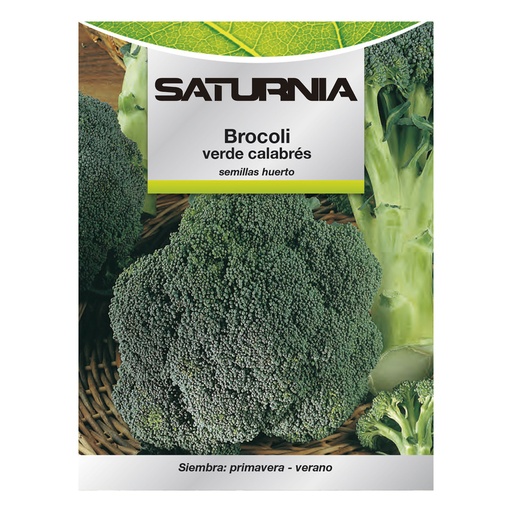 [8093655] Semillas Huerto Brocoli